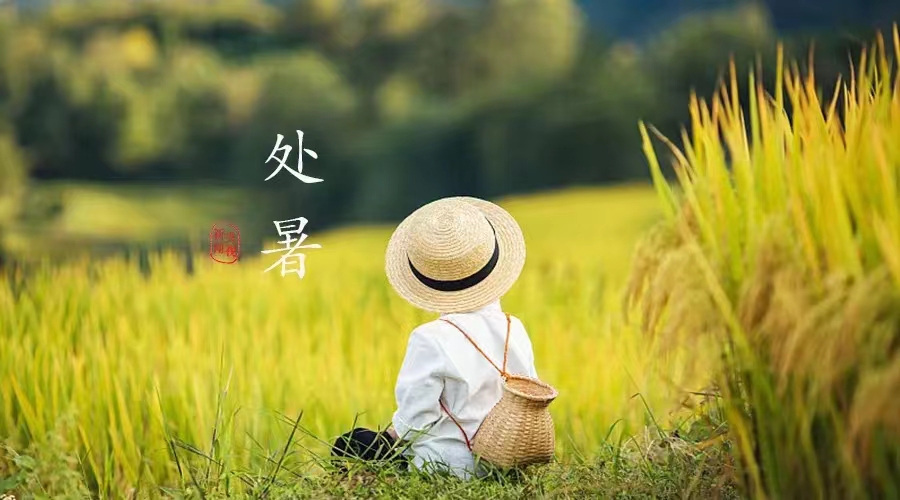 1661242882173909.jpg b4787bcb36fadafb05c9fa67e6f1593.jpg