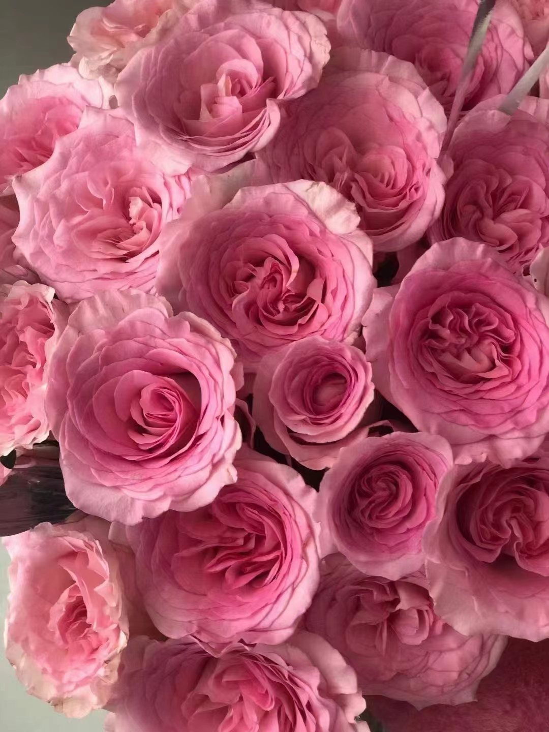 1662627338186267.jpg a3f92fe4154d26e0dca4f8d0a2fd650.jpg